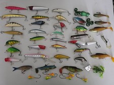 Large pike bass for sale  CLACTON-ON-SEA