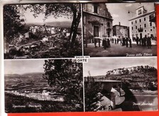 Cartolina orte viaggiata usato  Montegranaro