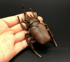 Brass beetle statue d'occasion  Expédié en Belgium