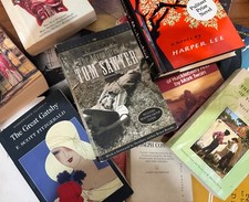 Challenged banned books for sale  South Lyon