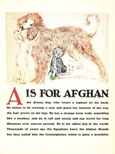 Afghan hound print for sale  Harborton