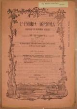 Umbria agricola novembre usato  Foligno