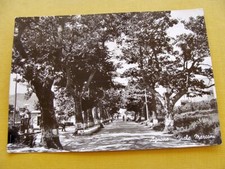 Agnone viale marconi usato  Frosinone