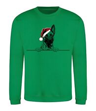 Belgian malinois christmas d'occasion  Expédié en Belgium