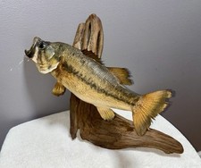 Vintage mounted largemouth for sale  Stanardsville