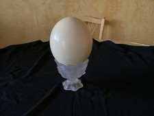 Objet curiosité oeuf d'occasion  Marseille IX