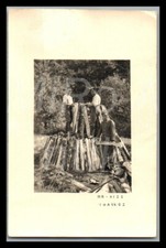 Foto wk2 inf gebraucht kaufen  Grammetal