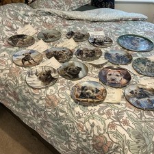 Plates paul doyle for sale  MARCH