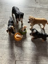 Hunde welpen konvolut gebraucht kaufen Hunde welpen konvolut gebraucht kaufen  Elmshorn