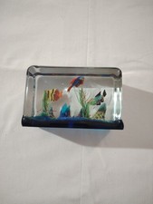 Aquarium verre vintage d'occasion  Hyères