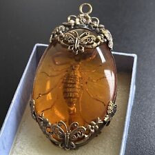 scorpion amber for sale  DONCASTER