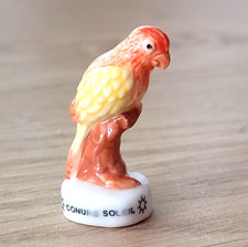 Fève oiseau conure d'occasion  Nogent