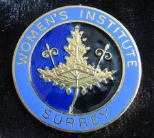 Women institute surrey for sale  BARNSLEY