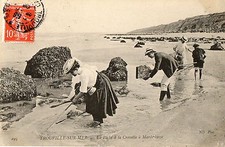 Trouville shrimp foot d'occasion  Expédié en Belgium