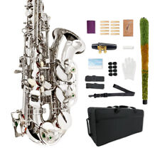 Sax alto prata com estojo, bocal, alças, palhetas saxofone kit para iniciantes  comprar usado  Enviando para Brazil