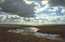 Horst wöbbeking wasserlandsch gebraucht kaufen  Wetter (Ruhr)