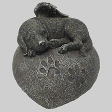 Hunde urne grau gebraucht kaufen  Wittislingen