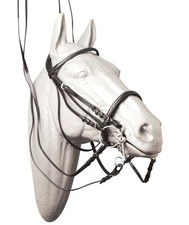 briglia dressage usato  Carate Brianza