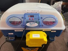 Borotto real 49brinsea for sale  SWADLINCOTE