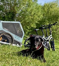 Burley bike ranger for sale  LIPHOOK