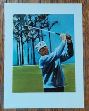 Art wall golf for sale  Soldier