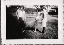 Vintage photograph 1920 for sale  Siletz