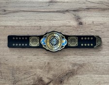 Wwe championship title for sale  BEDFORD