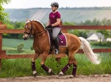 Equestrian stockholm set gebraucht kaufen  Mücheln