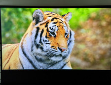 Alr projector screen for sale  DAGENHAM