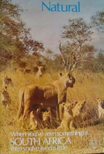 South africa lions for sale  New York