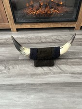 Vintage mounted bull for sale  Hillsborough