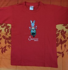 Abbigliamento bimbo souvenir usato  Ruvo di Puglia