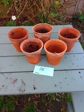 Vintage terracotta plant for sale  TUNBRIDGE WELLS