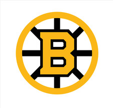 Boston bruins nhl for sale  Leslie