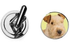 Lakeland terrier codez5 for sale  SHEFFIELD