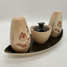 Carlton ware cruet for sale  WATLINGTON