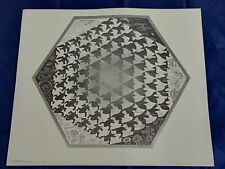 Escher verbum 55cm gebraucht kaufen  Nastätten