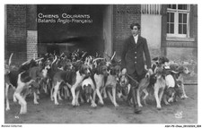 Ashp9 0520 chien d'occasion  France