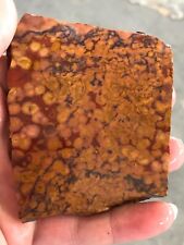 poppy jasper for sale  Cleveland