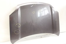 Motorhaube nissan trail gebraucht kaufen  Wittenburg
