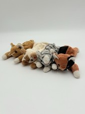 Beanie babies cats for sale  Virginia Beach