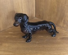 Dachshund sausage dog for sale  SPALDING