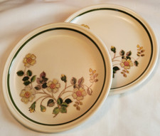 Sides plates autumn for sale  SALISBURY
