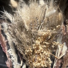 dried lavender for sale dried lavender for sale MANSFIELD