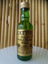 Mignonnette catto scottish d'occasion  Pornic