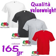 Fruit the loom usato  Albano Laziale
