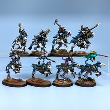 Saurus knights skinks for sale  ASHFORD