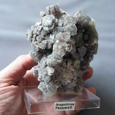 P12 bella aragonite usato  Italia