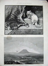 Old antique print for sale  UK