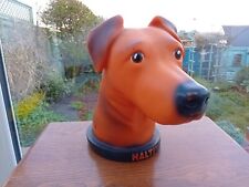Halti dogs head for sale  SAUNDERSFOOT